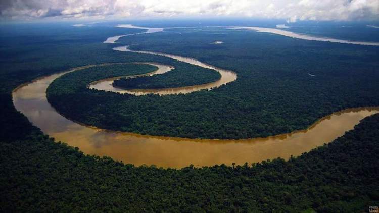 Photo: Colombian Amazon. Credit: Indigenous organization OPIAC