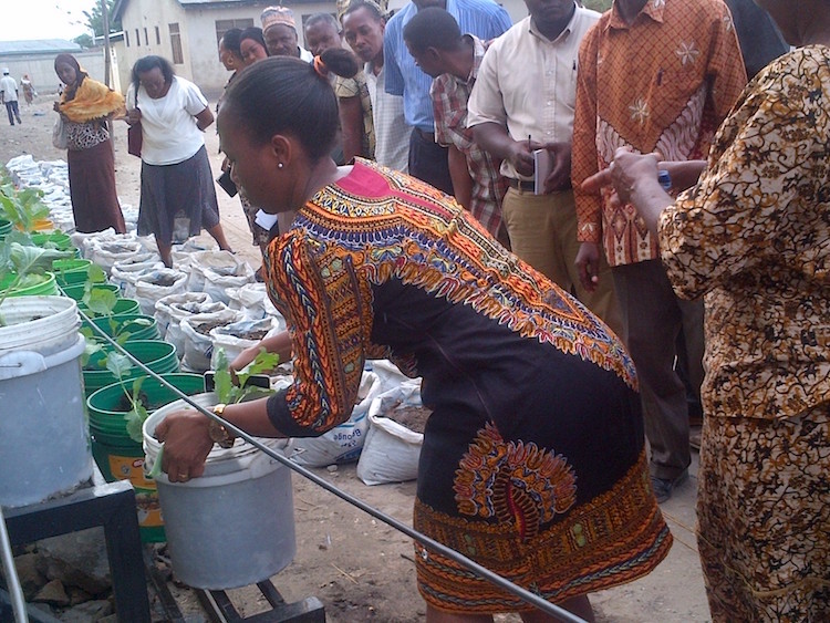 Photo: Demonstration of maximising resource use. Credit: Kizito Makoye Shigela | IDN-INPS