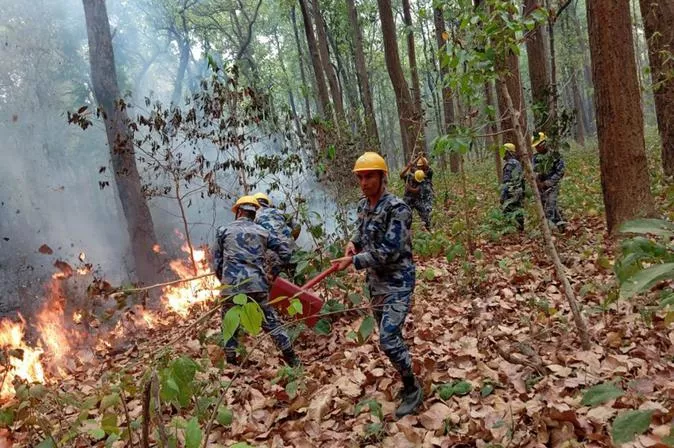 The Armed Police Force attempting to get a forest fire under control at the Baijnath Community Forest in Kanchanpur's Suklaphanta Minicipality on 27 April. Photo: Rajendra Prasad Paneru/RSS