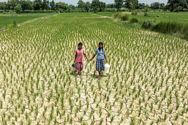 Two children in Nepal carry water buckets for the cracked fields due to a lack of rainfall in Sakhuwa Parsauni Rural Municipality, Parsa District, Madhesh Province. Parts of Madhesh Province experienced drought in July due to climate change, causing water shortages that affected children and families. Credit: UNICEF/Laxmi Prasad Ngakhusi