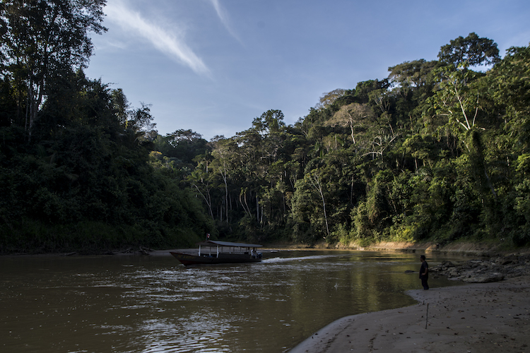 Photo: Courtesy Tenure Facility / Madre de Dios region, Peruvian Amazon.