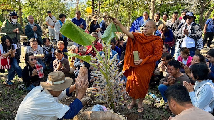 Image: The offering of seeds to monks. Credit: 'The Royal Initiative Discovery Foundation'.