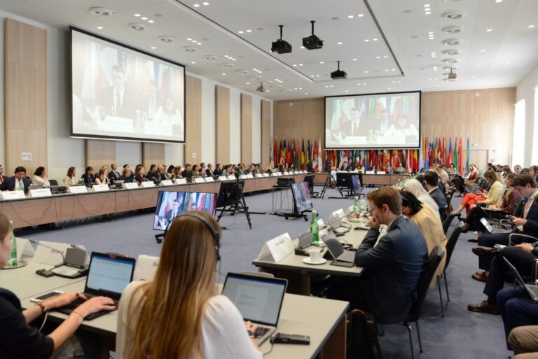 Supplementary Human Dimension Meeting (SHDM) of 2024 - Media Literacy and Democracy　Photo: OSCE