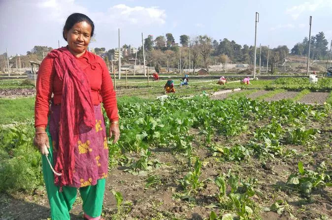 Ratna Rani Newar does not know how much longer she can keep her vegetable farm in Thimi. Photo: TAYLOR MASON