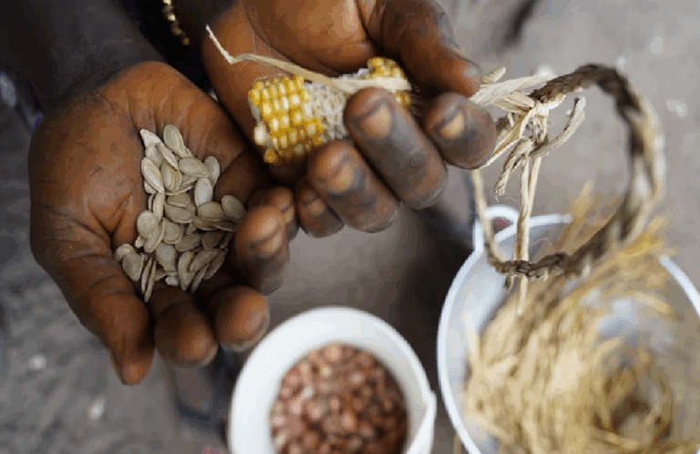 https://londonpost.news/the-fragile-heart-of-west-africa-why-guinea-bissau-matters/#:~:text=44-,Image%20Credit%3AGoogle,-By%20Srushti%20Hode