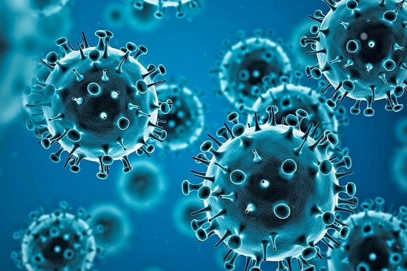 The origin of COVID-19 remains a mystery, hampered by secrecy, stalled research and global inaction.