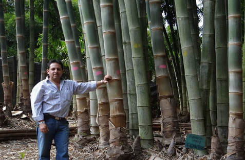 Photo: Dr. José Luis Gutiérrez Sentíes.