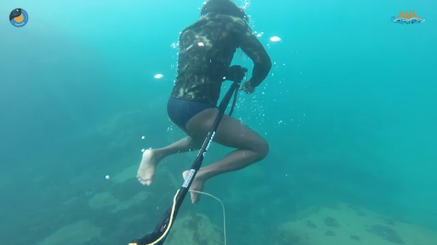Sudhi Kumar catching fish using harpooning. Credit: PC || FML/Robert Panipilla