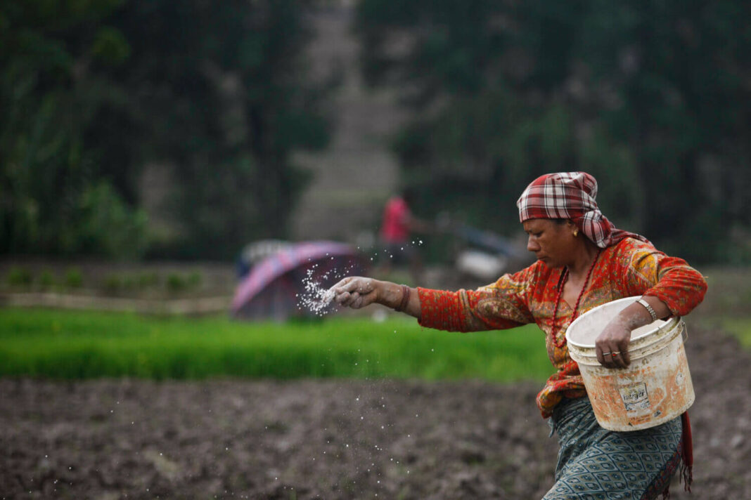 Photo: MONIKA DEUPALA / NEPALI TIMES ARCHIVE