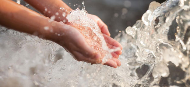 Credit: Adobe Stock